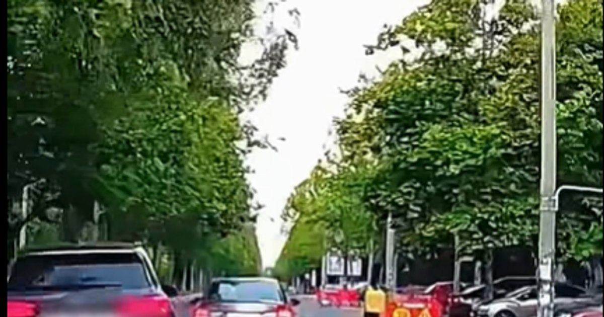 Poliția Română: Peste 480 de șoferi au rămas fără permis în 2025 după sesizări pe hub.mai.gov.ro