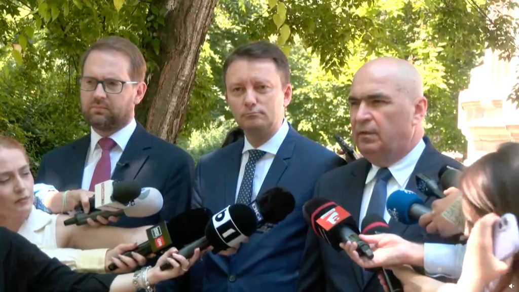 Siegfried Mureșan vorbind la un interviu