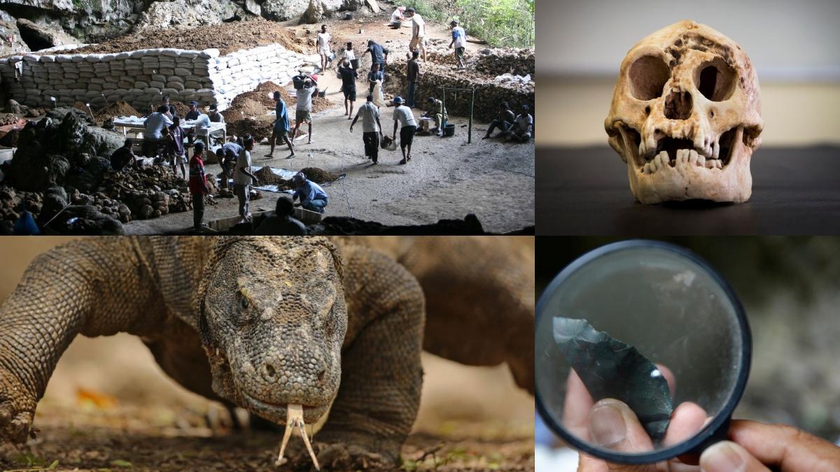 Fosile de Homo floresiensis descoperite în peștera Liang Bua