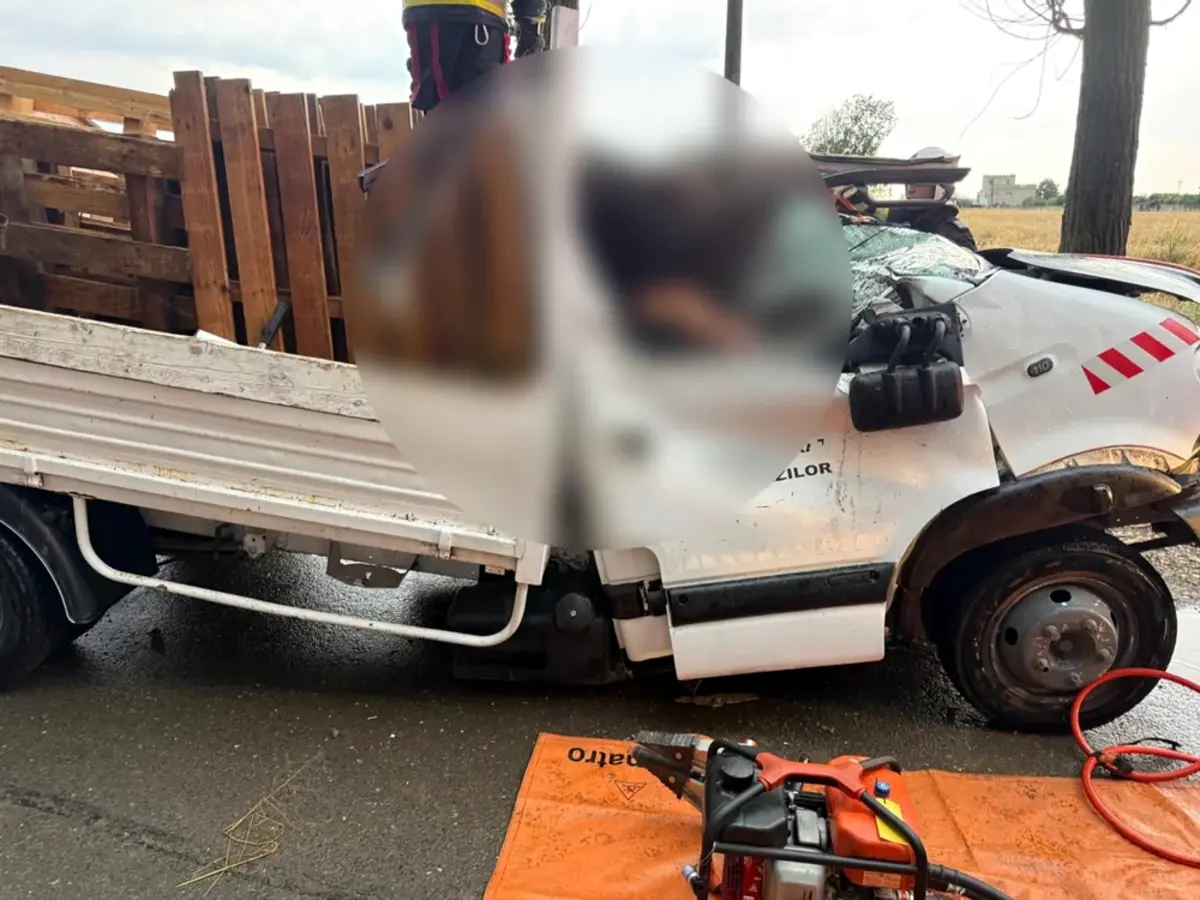 Tragedie în Ilfov: un bărbat a murit după ce un copac a căzut peste mașina sa în timpul furtunii