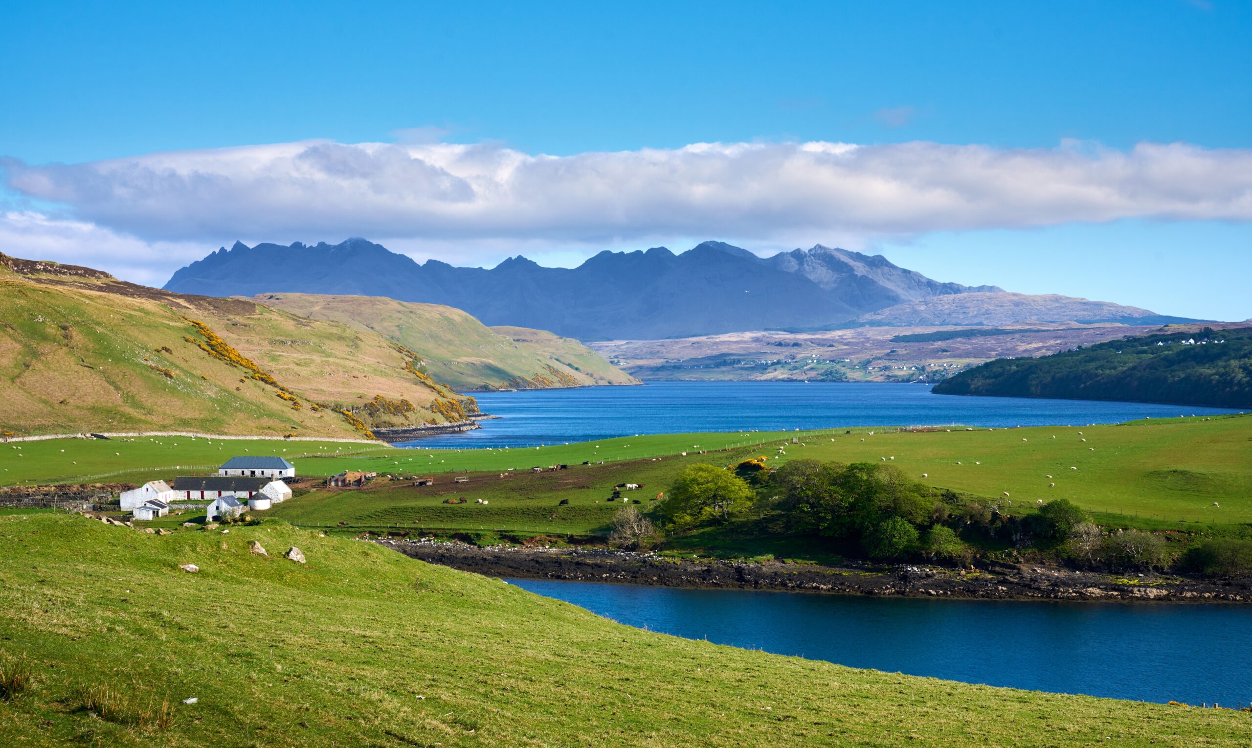 Peisaj din arhipelagul Shetland, Scoția, cu cer senin și vegetație verde