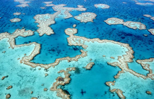 Marea Barieră de Corali din Australia