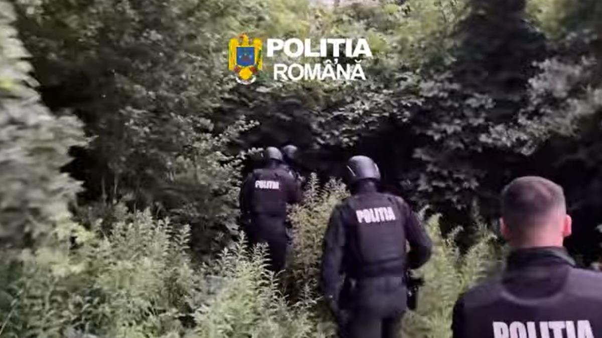 Urmărit național, găsit de polițiști într-o groapă săpată în pământ, lângă căminele studențești din Cluj